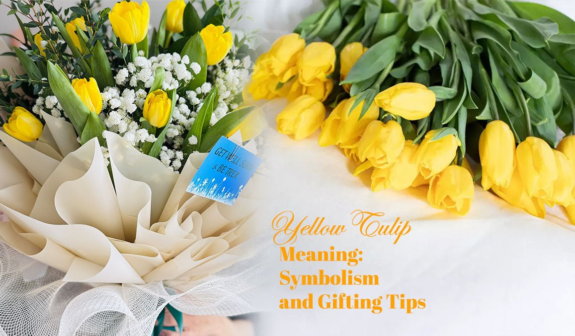 Yellow Tulip Meaning