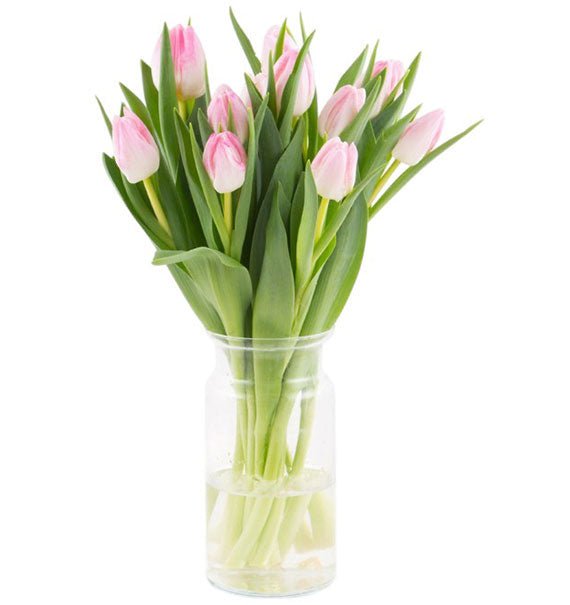 10 Light Pink Tulips In Vase