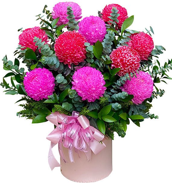 10 Pink and Red Peony Chrysanthemum In Basket