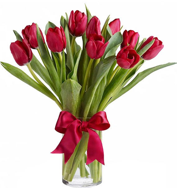 10 Red Tulips In Vase