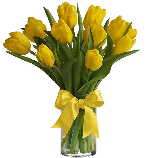 10 Yellow Tulips In Vase