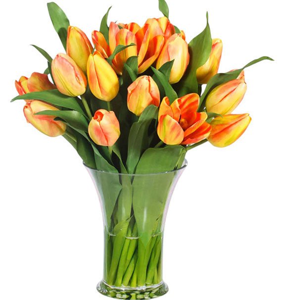20 Orange Tulips In Vase