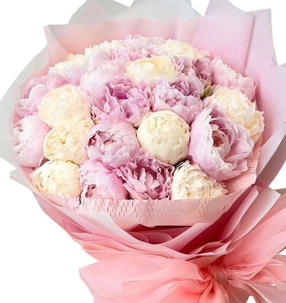 20 Pink and White Peonies Vietnam