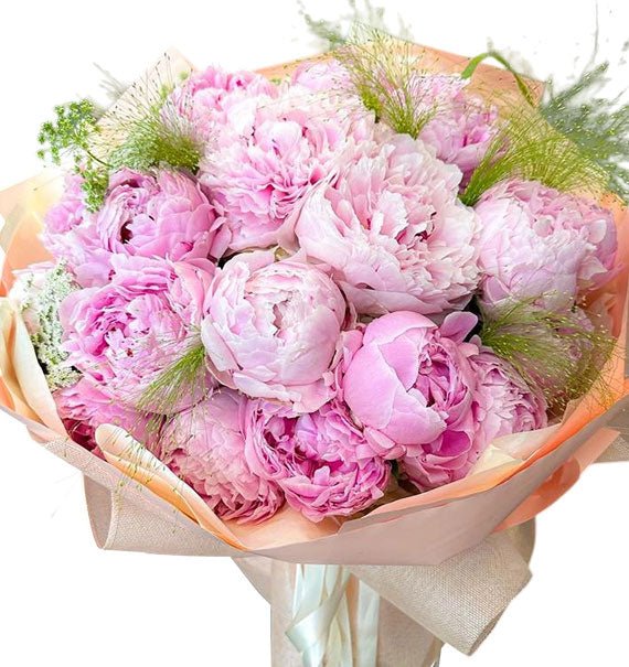 20 Pink Peonies Vietnam
