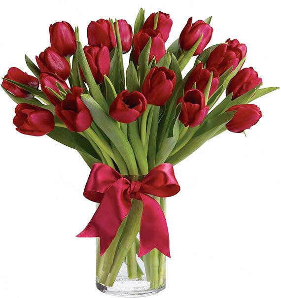 20 Red Tulips In Vase