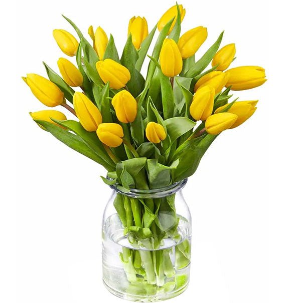20 Yellow Tulips In Vase