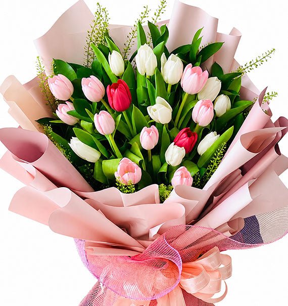22 White, Pink & Red Tulips Bouquet Vietnam