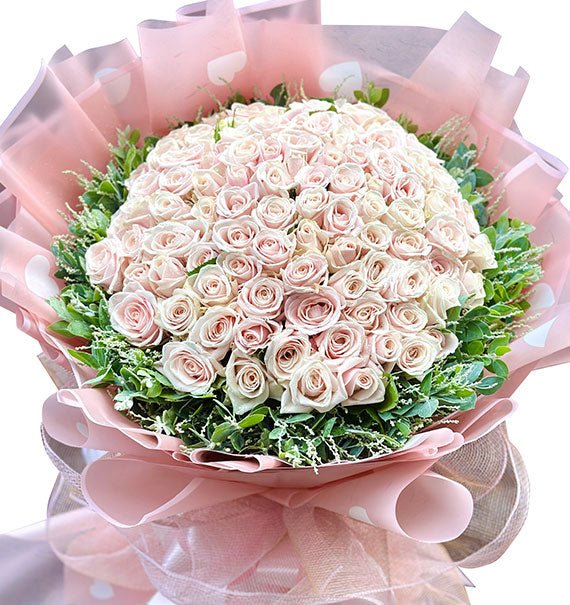 99 Peach Roses For Vietnamese Women's Day