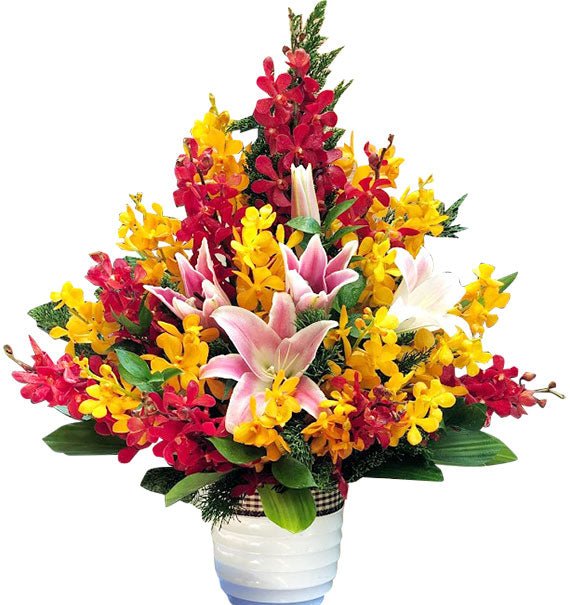 A Luminous Expression Of Love