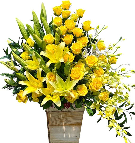 A Radiant Wish For Success