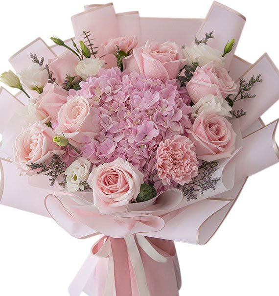 Angel Touch Hydrangeas Vietnam