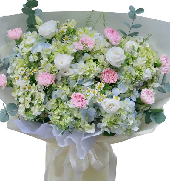 Baby Hulk Green Hydrangea Vietnam