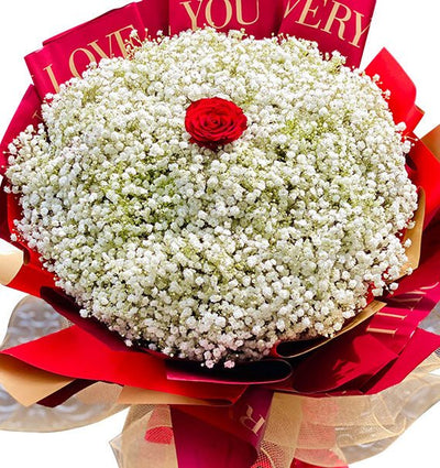 Baby's Breath Flowers