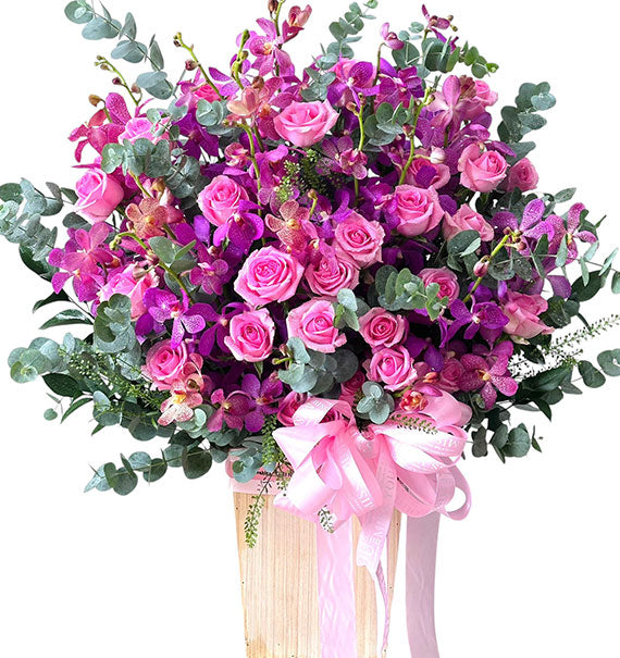Beautiful Orchids For Mom Vietnam