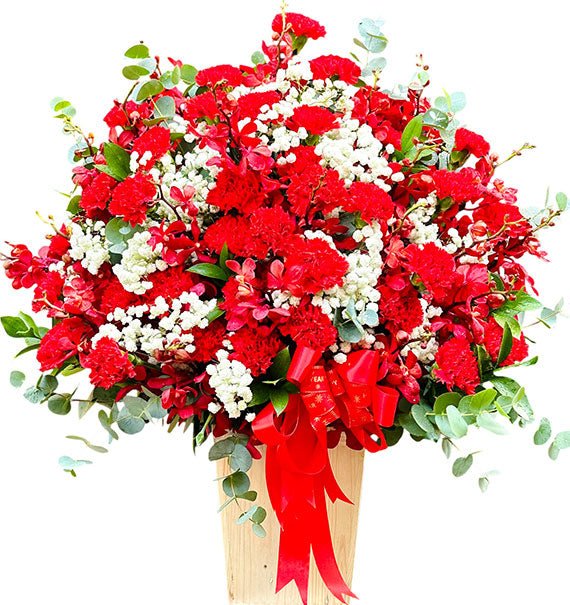 Beautiful Orchids For Mom Vietnam