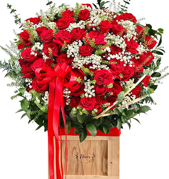 Best Roses For Christmas Vietnam