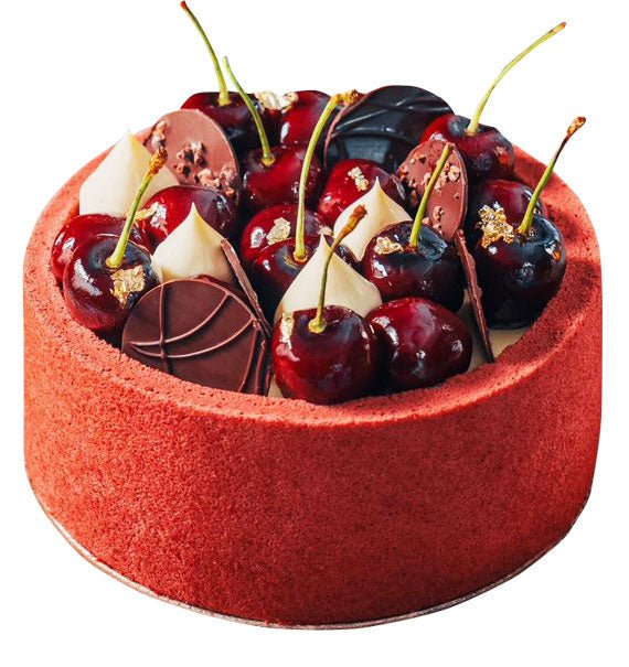 Black Forest Noel Cake Christmas Vietnam