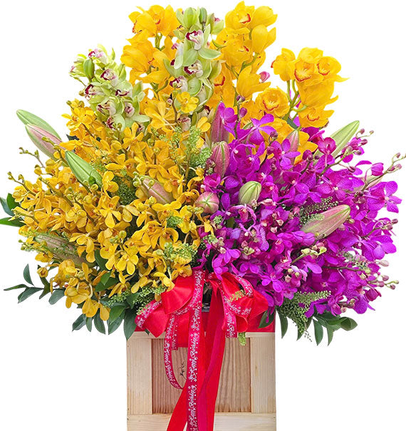 Blooming Good Luck Tet Vietnam