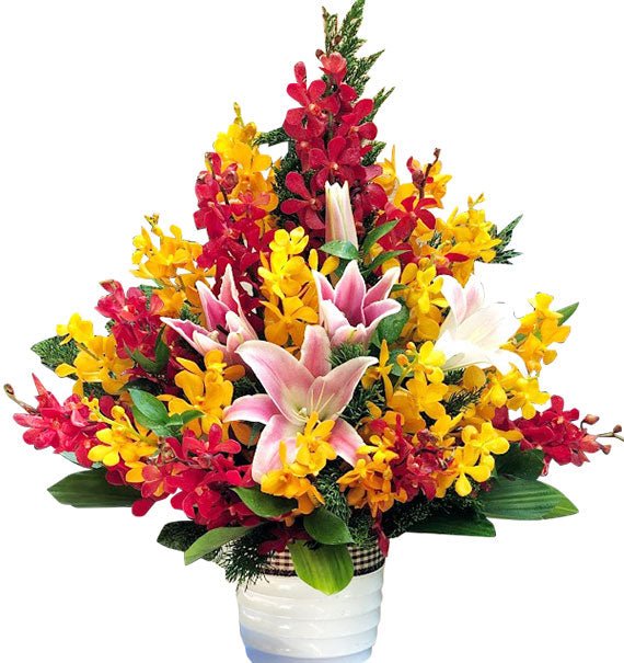 Blooming Good Luck Tet Vietnam