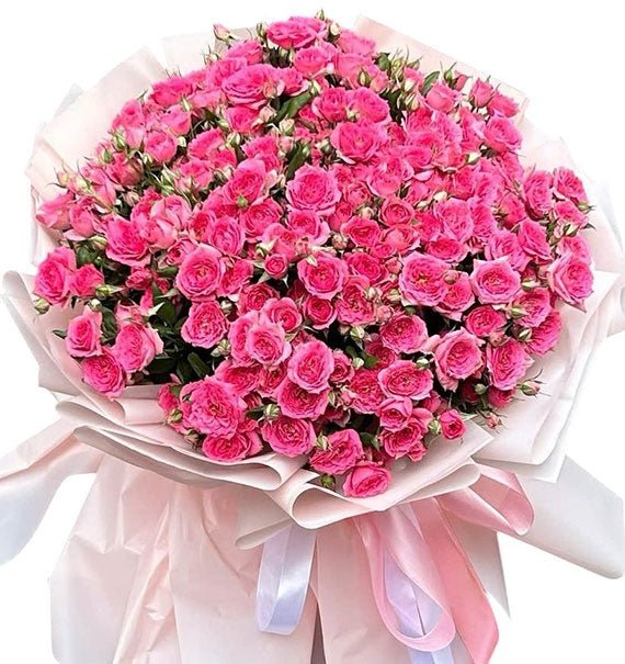 Blooming Muse Roses Vietnam