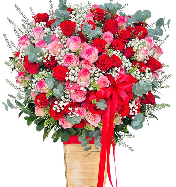 Blossoms of Joy Tet Vietnam