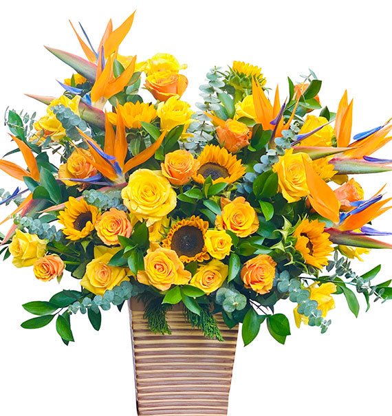 Blossoms of Prosperity Tet Vietnam