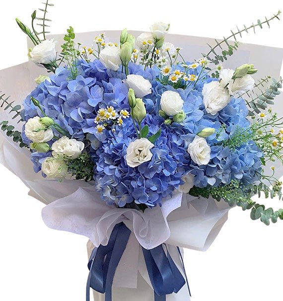 Blue Sky Hydrangeas Vietnam