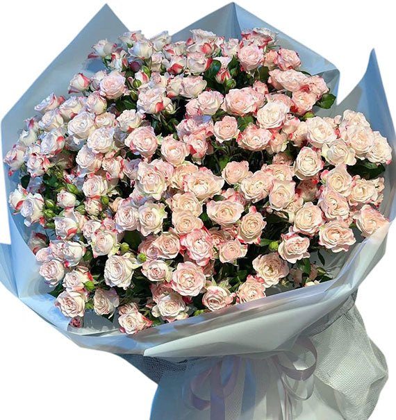 Blush Pink Spray Roses Bouquet Vietnam