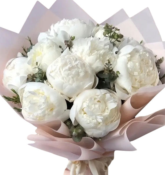 Bouquet of White Peony Vietnam