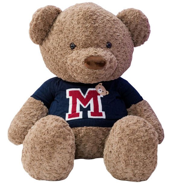 Brown Teddy Bear With T-shirt Vietnam