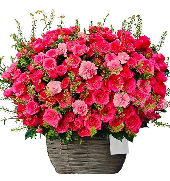 Charming Pink Spray Roses Vietnam