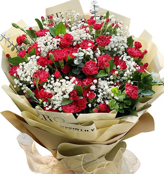 Christmas Carnation Bouquet Vietnam