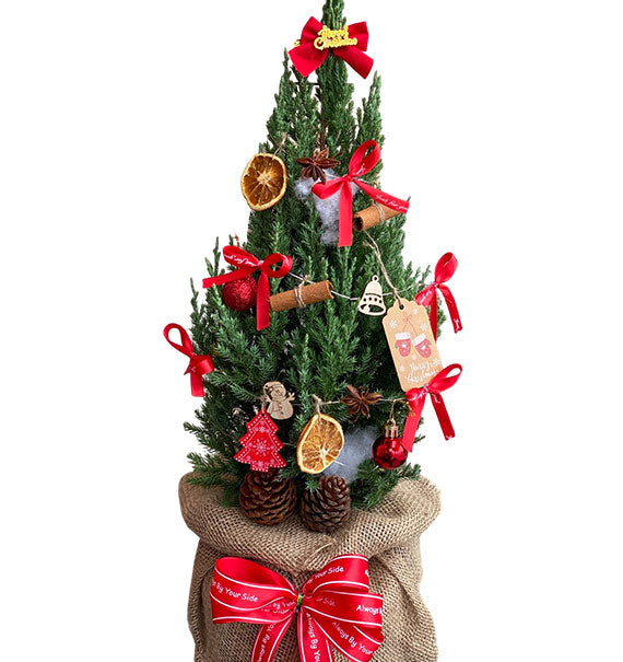 Christmas Tree Delivery Vietnam