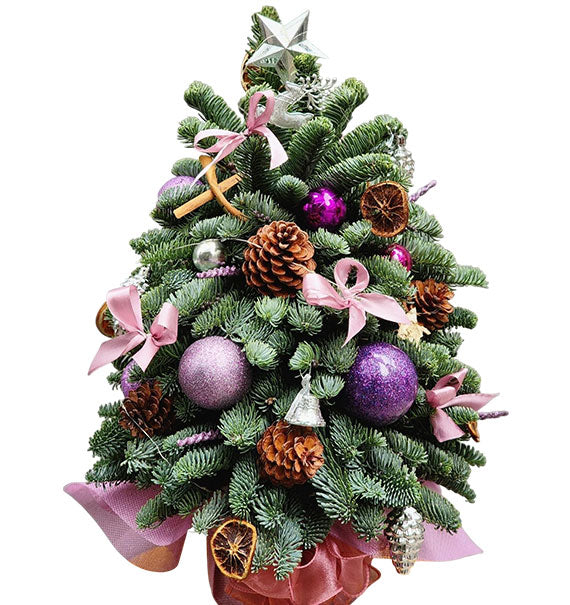 Christmas Tree Gift Vietnam