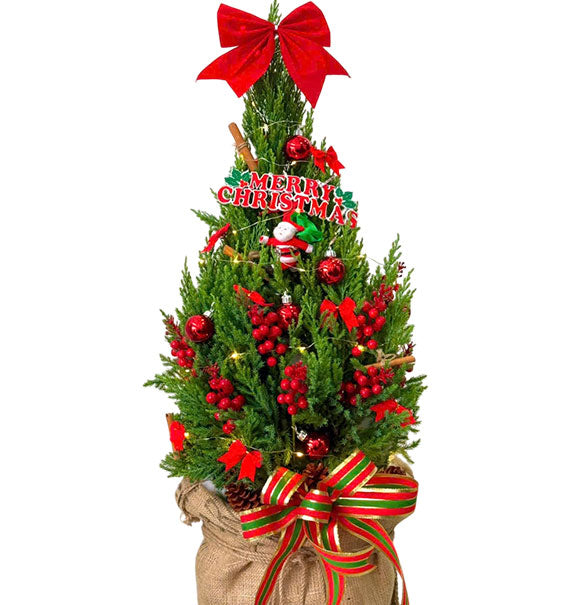 Christmas Tree Vietnam