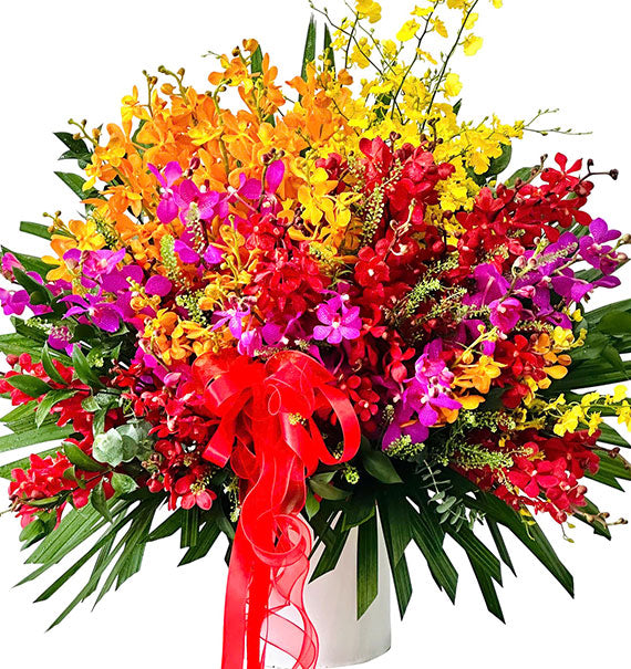 Colorful Orchids for Mothers Day Vietnam
