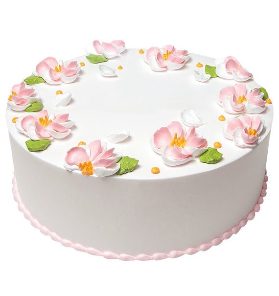 Dairy Queen Ice Cream Cake DQ-029 Vietnam