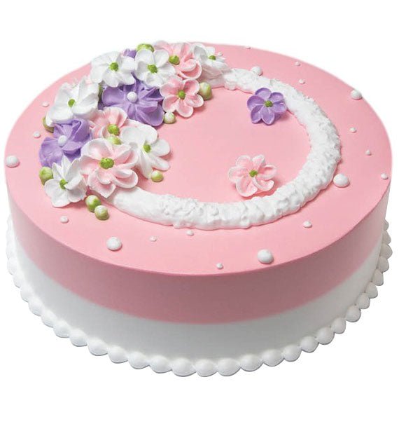 Dairy Queen Ice Cream Cake DQ-038 Vietnam