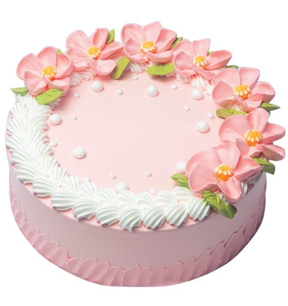 Dairy Queen Ice Cream Cake DQ049 Vietnam