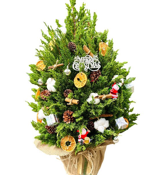 Decorated Christmas Tree Vietnam