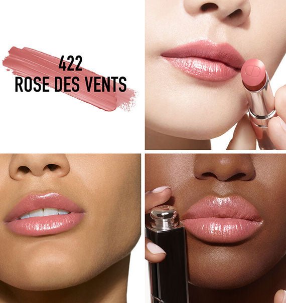 Dior Addict Lipstick Rouge Shine 422 Rose Des Vents