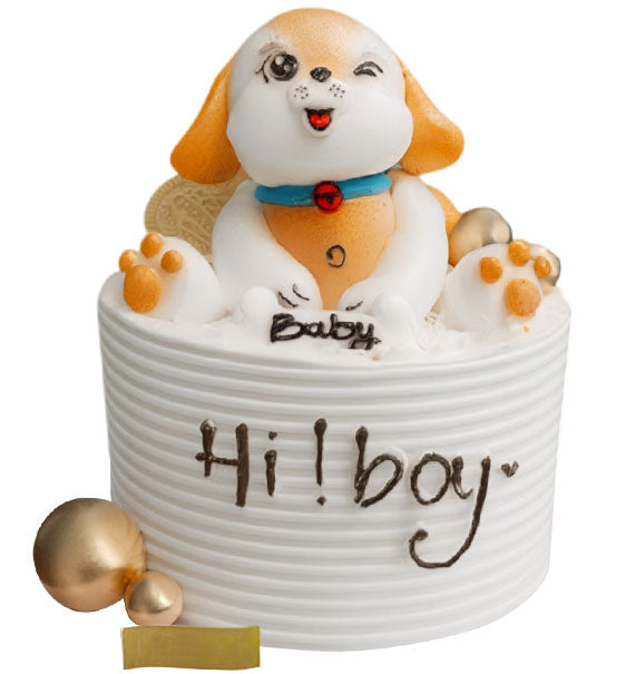 Dog Birthday Cake Vietnam