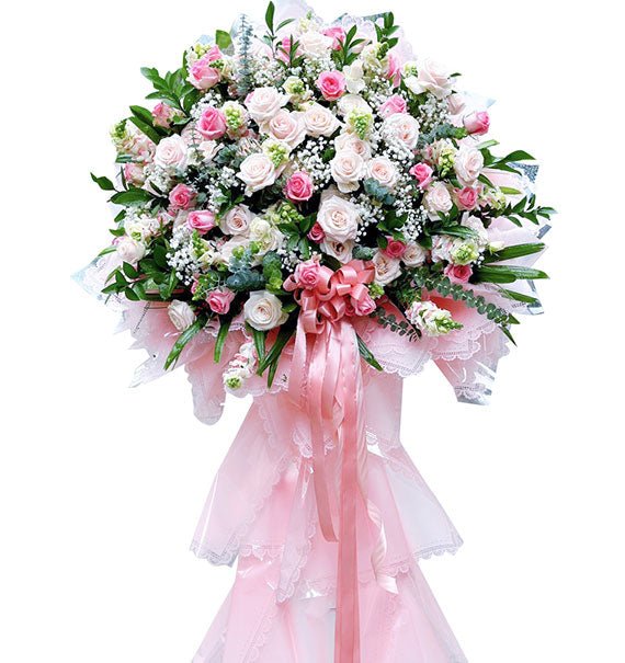 Elegant Opening Blooms