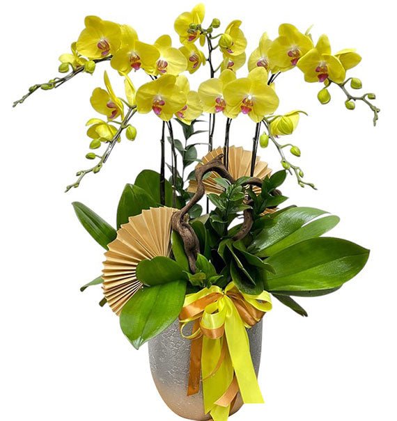 Elegant Orchid Gift For Girlfriend Womens Day Vietnam