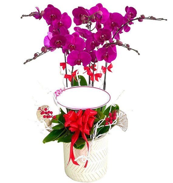 Elegant Orchid Gift For Mom Vietnam