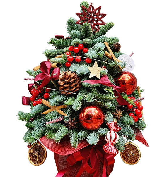 Enchanted Christmas Tree Vietnam