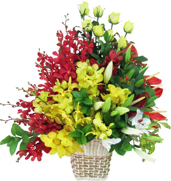Eternal Love Orchid Basket For Mom Vietnam