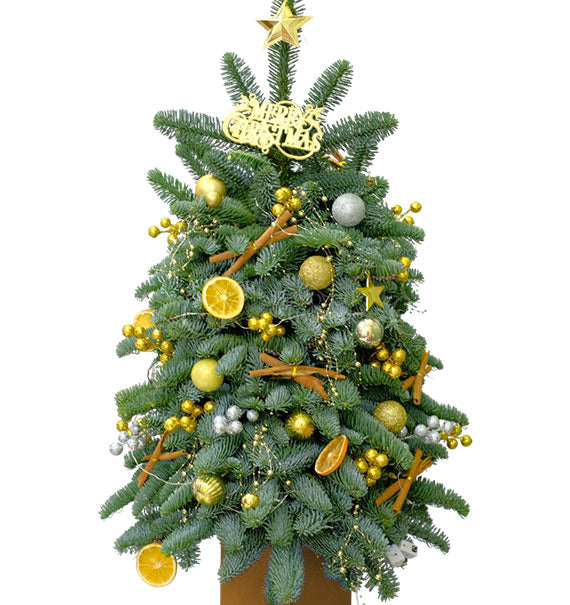 Everglow Christmas Tree Vietnam