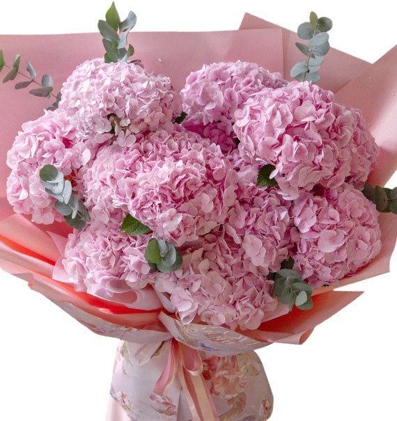 Fairy Blossom Hydrangeas Vietnam