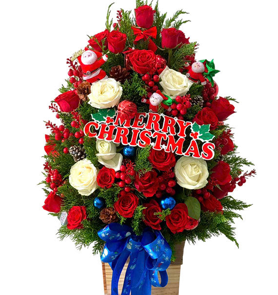 Fairyland Fir Christmas Tree Vietnam